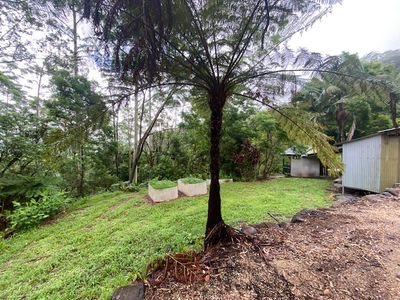 5 / 924 Blue Knob Road, Nimbin