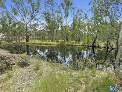1316 South Costerfield-Graytown Road, Graytown