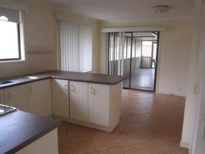 Mount Warrigal