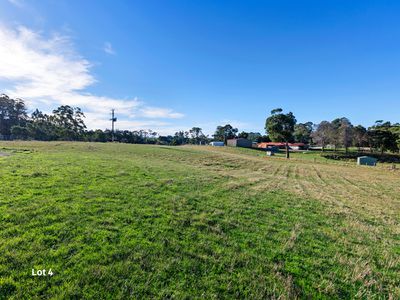 Wynyard