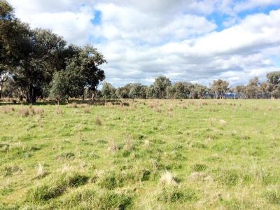 Settlers Road, Chiltern
