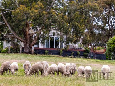 122 Magills Lane, Maindample