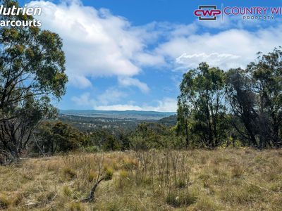 668 Ten Mile Road, Deepwater