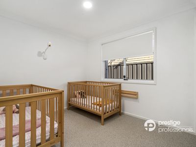 9 Ellesmere Court, Wattle Grove