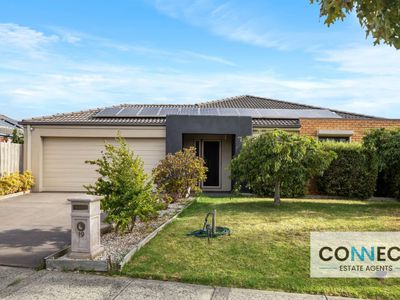 19 Kingdom Drive, Cranbourne