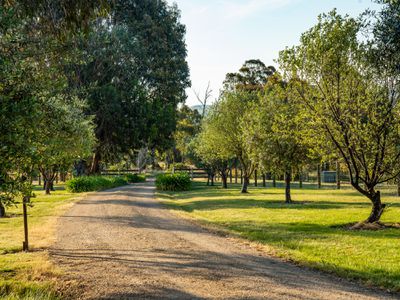 5 Howqua Track, Merrijig