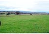 Coates Creek Road, Manildra