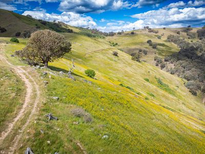 4118 Murray River Road, Thologolong