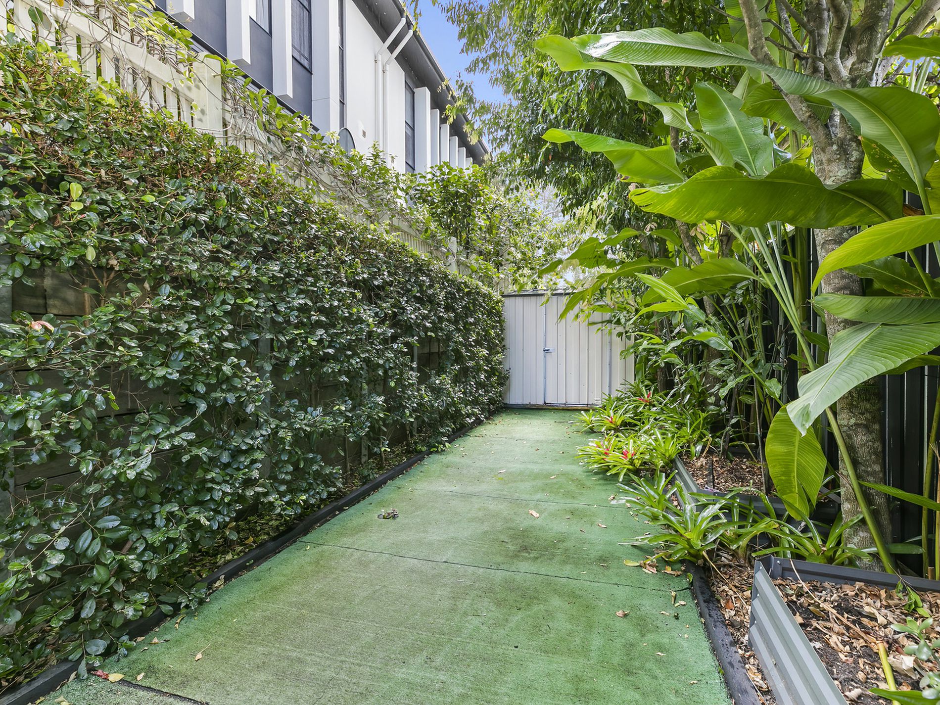 16 Pavilion Drive, Peregian Springs