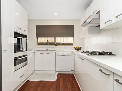 53 Potts Road, Langwarrin