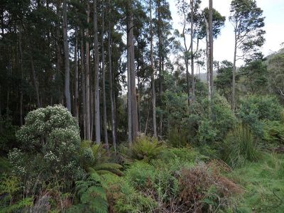 Lot 1 Kalonga Road, Nicholls Rivulet