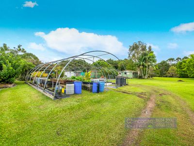320 Left Bank Road, Mullumbimby