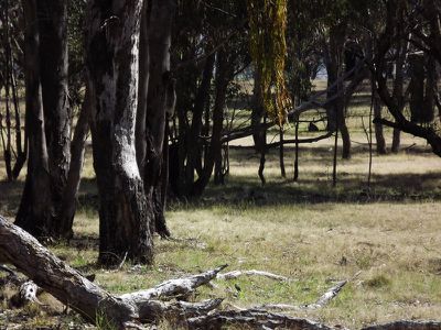 3 / Billabong Waters, Emmaville