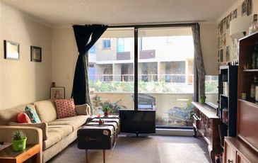 66 / 6-8 Frances  Street, Randwick