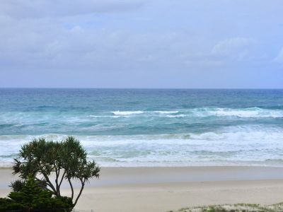 Palm Beach