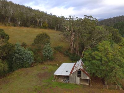 Lot 1, Turn Creek Road, Grove