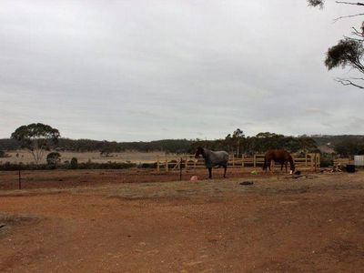 334 Scotts Lane, Wedderburn