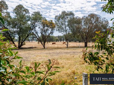 48 Bulleid Road, Byawatha
