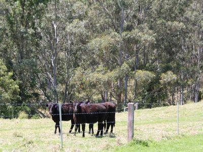 2 Smarts Rd., Kangaroo Valley