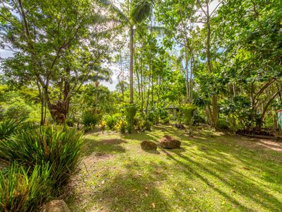 665 Left Bank Road, Mullumbimby Creek