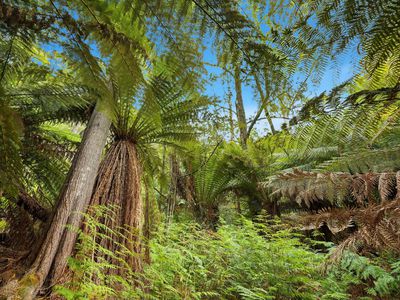 107 Wielangta Road, Kellevie