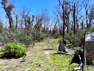 Lot 208 Foggy Forest Drive, Anembo