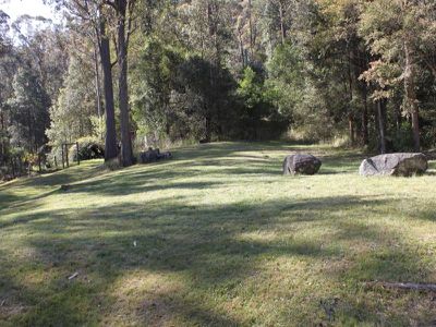 Palm Grove