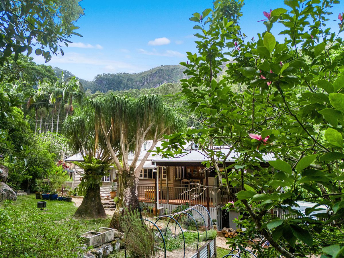 807 Left Bank Road, Mullumbimby Creek