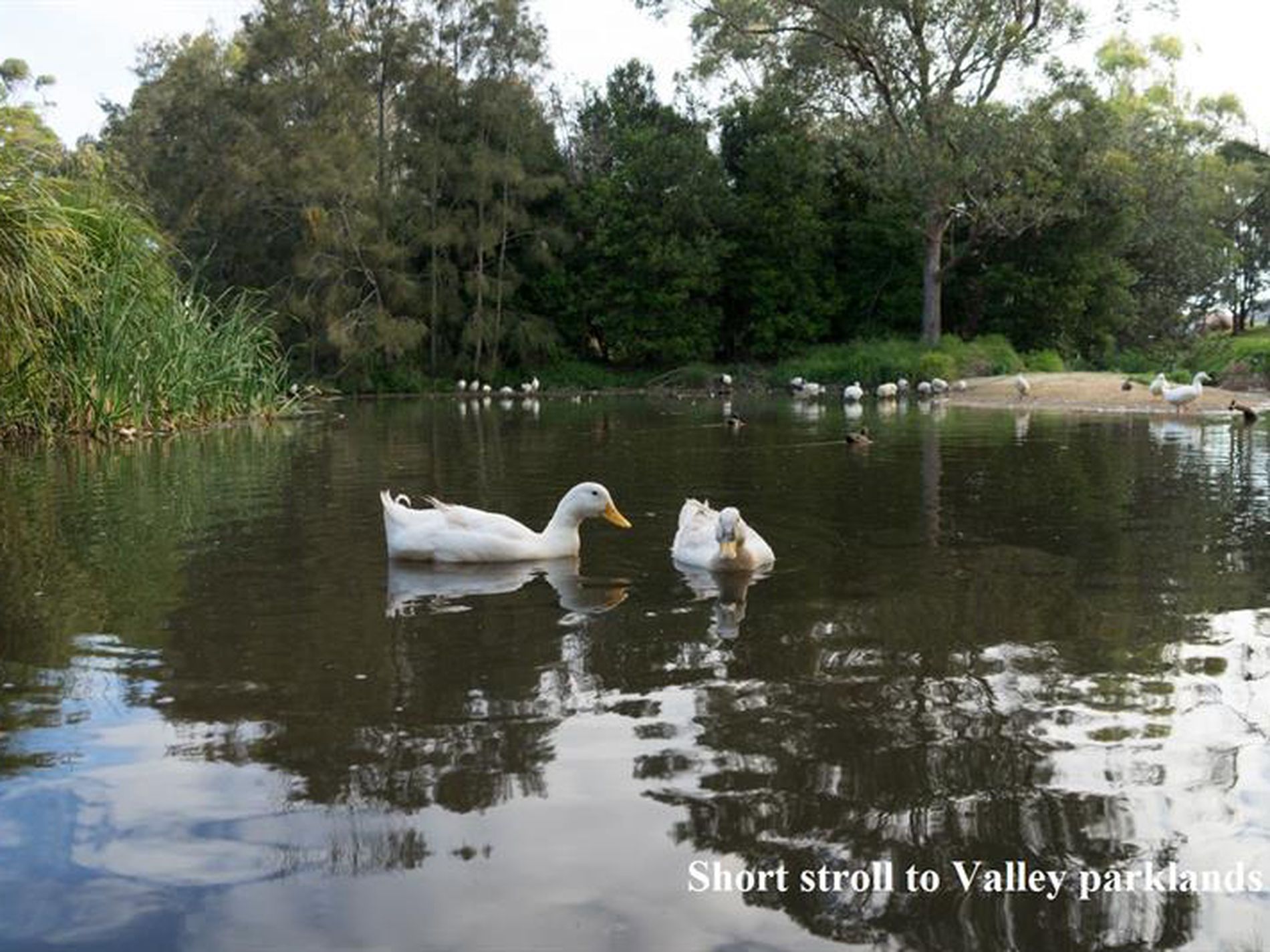 44 Rickard Street, Turrella