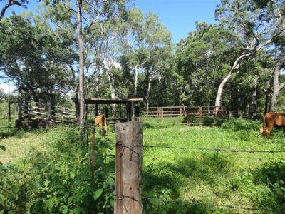 Poison Creek Road, Cooktown