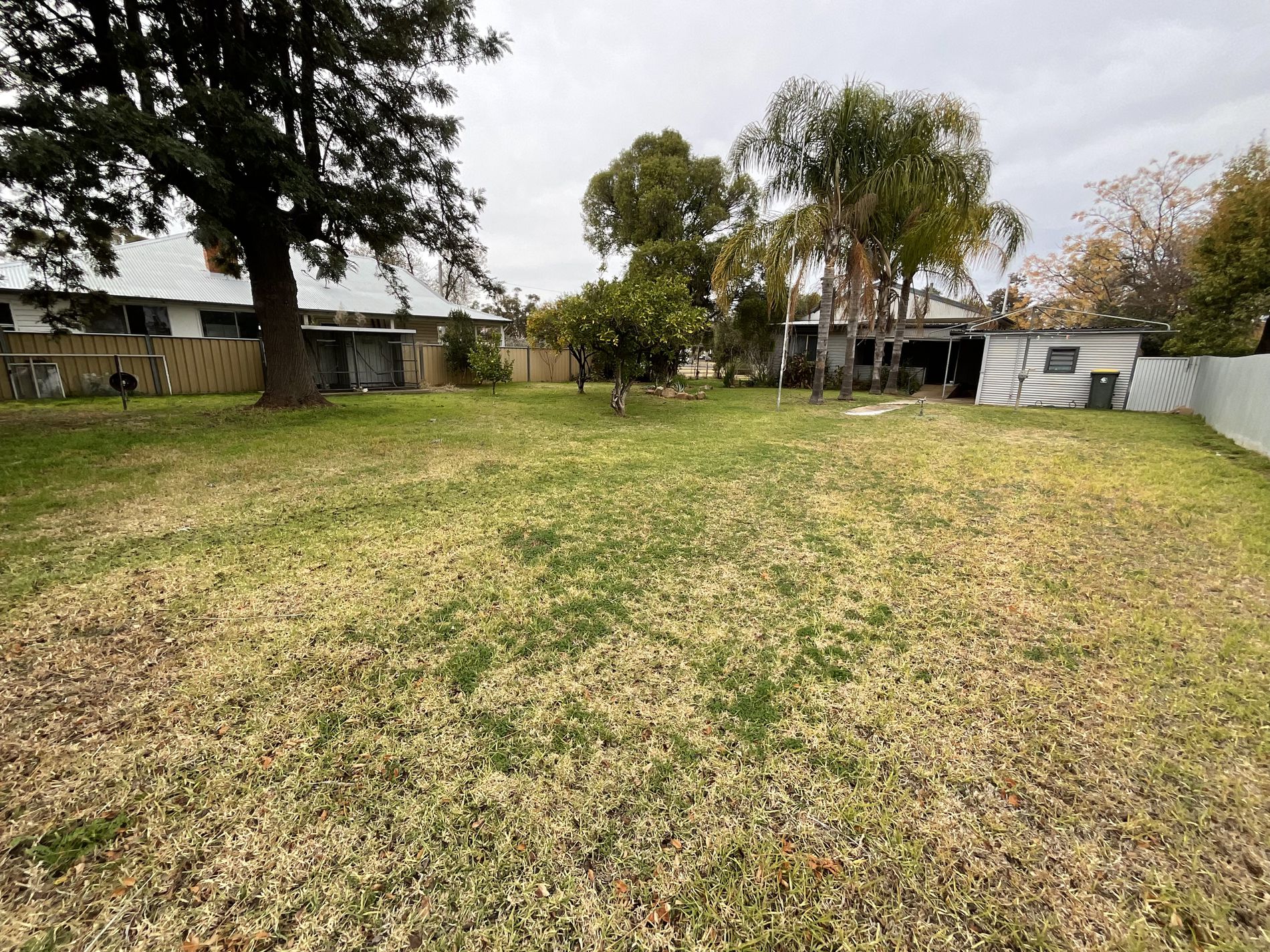 3 Renfree Street, Forbes