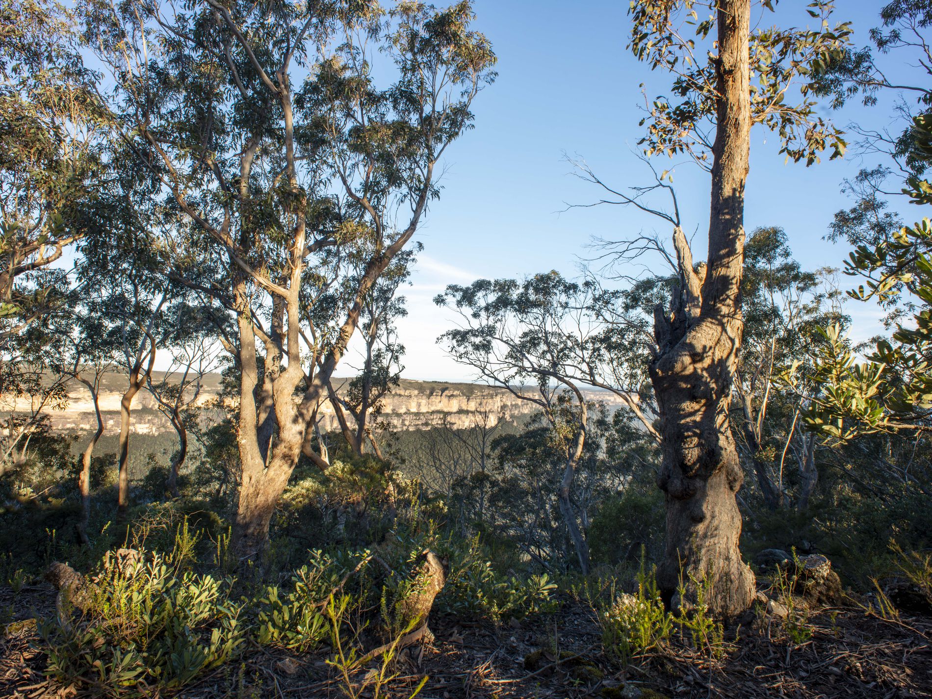 114 Sublime Point Road, Leura
