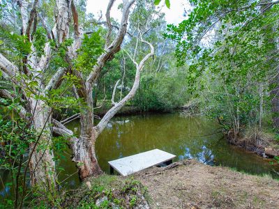 280 McKinnon Drive, Cooroibah
