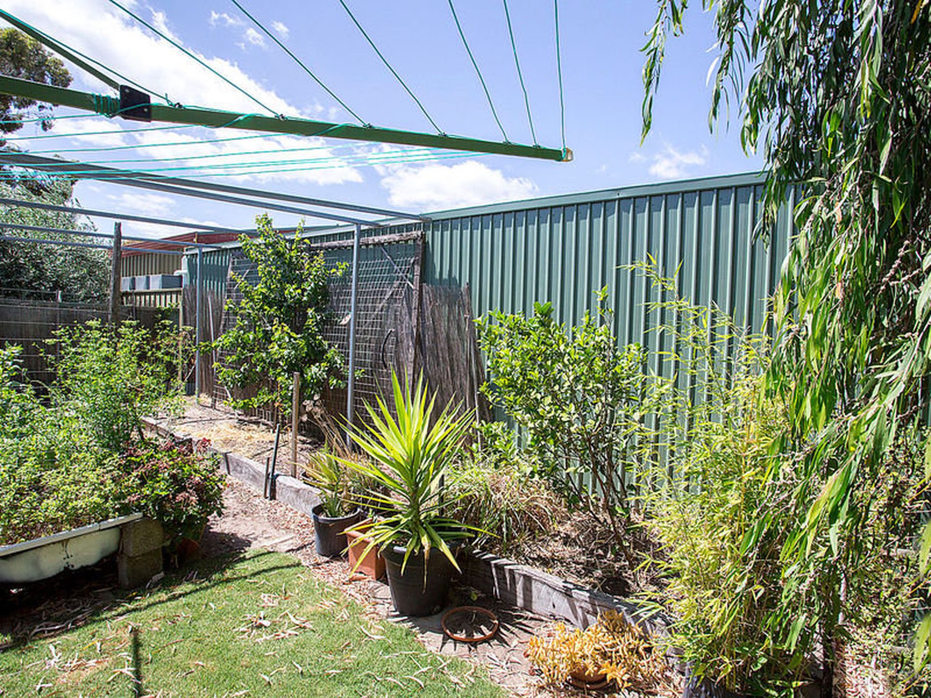 20 Bourlang Avenue, Camden Park