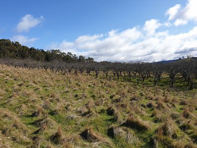 Lot 3 Scotts Road, Geeveston