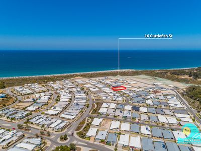 16 Cuttlefish Street, Yanchep