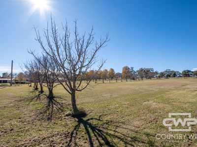 28 Carlisle Close, Glen Innes