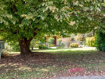 23 Selwyn Street, Barry
