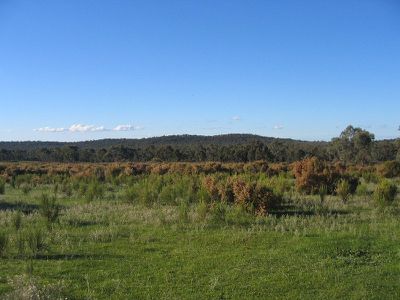 627 WARROWITUE-FOREST ROAD, Heathcote
