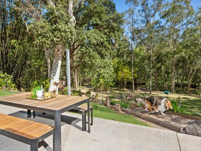 24 Yangubbi Lane, Cooroibah