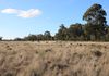 Back Trundle Road, Parkes