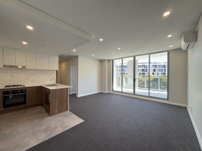 309 / 41 Kildare Road, Blacktown