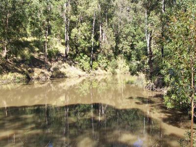 Maleny