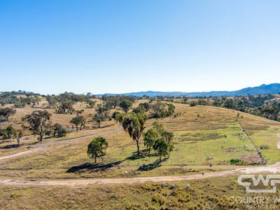 Lot 12, 212 Mole Station Road, Tenterfield