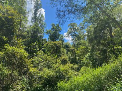 Lot 220 Comboyne Road, Byabarra