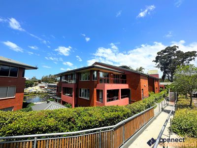 239 / 34-36 Glenferrie Drive, Robina