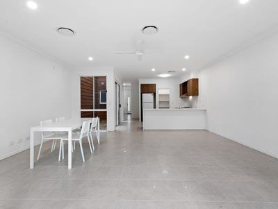 46 Platypus Circuit, Rochedale