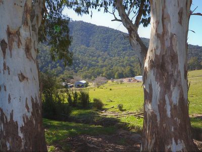 Lot 2, 922 Mountain Creek Road, Tawonga
