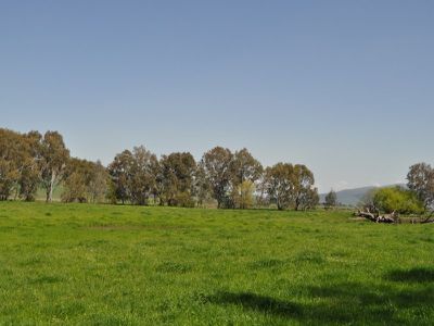 51 Welumba Creek Road, Greg Greg