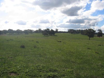 LOT 8 TUSCAN DRIVE, Heathcote